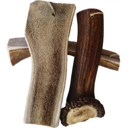 Teomann rágóagancs félbevágott darabok