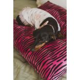 Kiwi Pet's Pink Panther kutyapárna 100x70cm