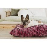 Kiwi Pet's Pink Panther kutyapárna 100x70cm