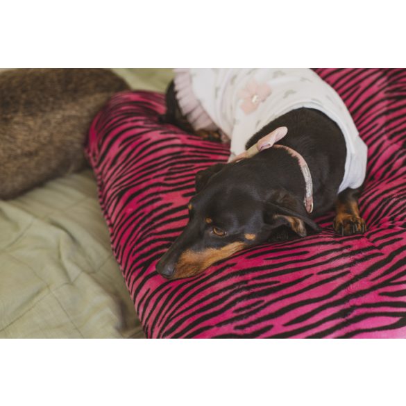 Kiwi Pet's Pink Panther kutyapárna 100x70cm