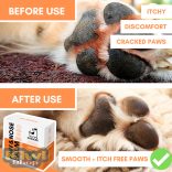 Mancs- és orrápoló krém kutyáknak 