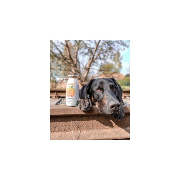 SmoothieDog - Immunerősítő smoothie kutyáknak (marhahússal) 250ml