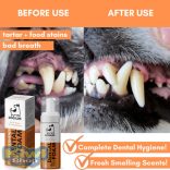 Fogtisztító hab kutyáknak