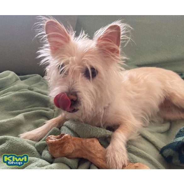 Kávéfa rágóbot L