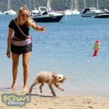 Doog övtáska kék pöttyös