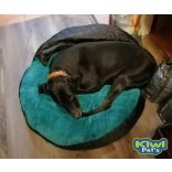 Kiwi Pet's bebújós fekhelyek több méretben