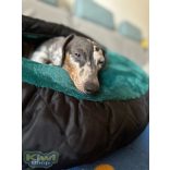 Kiwi Pet's bebújós fekhelyek több méretben