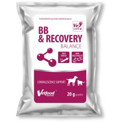 BB & Recovery Balance 