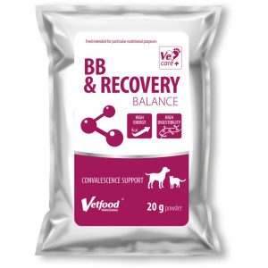 BB & Recovery Balance 
