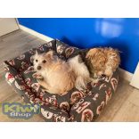 Kiwi Pet's red dogs kutyafekhely 85x70cm