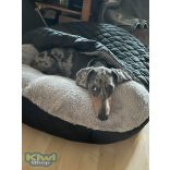 Kiwi Pet's bebújós fekhelyek egyszínű sherpa anyagból