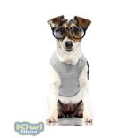 Milk&Pepper Doodle Grey T-shirt