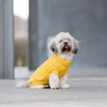 Trixie Kenton kötött pulcsi sárga