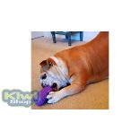 SodaPup® Kanna M - méreganyagmentes kutyajáték