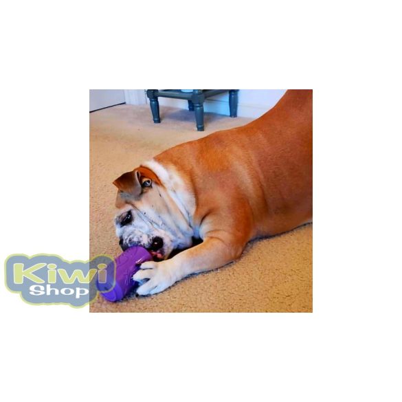 SodaPup® Kanna M - méreganyagmentes kutyajáték