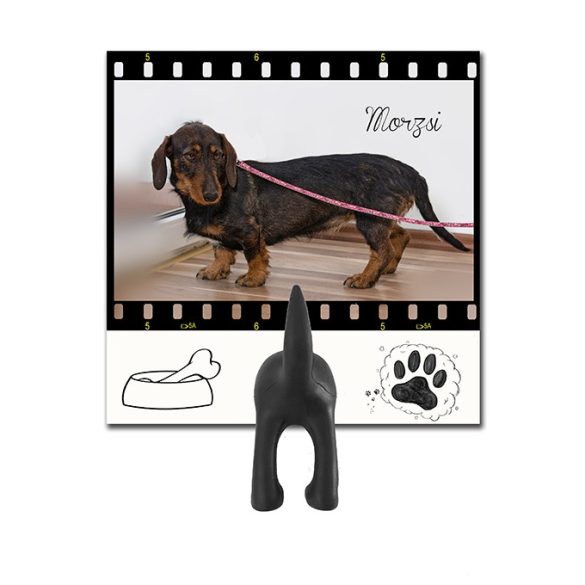 Egyedi póráztartók (kutyusod saját képével, 8 féle designnal) - 2020 legtutibb karácsonyi ajándéka 