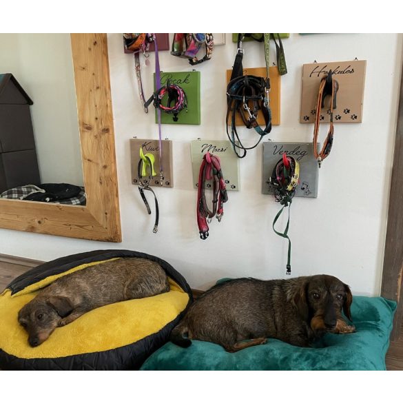 Kiwi Pet's Maja bebújós fekhelyek