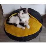 Kiwi Pet's Maja bebújós fekhelyek