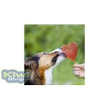 SmoothieDog szilikonos fagyiforma kutyáknak 