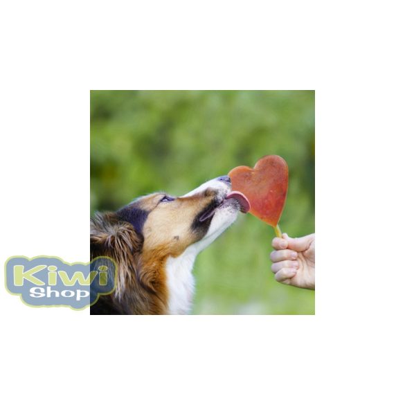 SmoothieDog szilikonos fagyiforma kutyáknak 