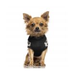 Milk&Pepper Okavango pulóver 40-es