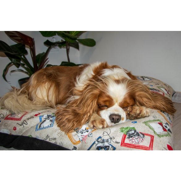 Kiwi Pet's Dogs párnák 