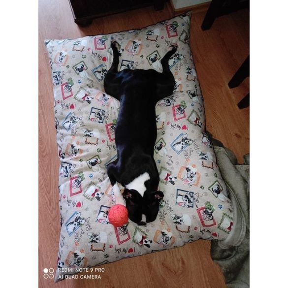 Kiwi Pet's Dogs párnák 