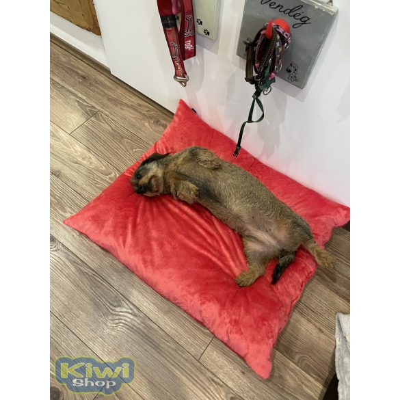 Kiwi Pet's Raspberry párnák 