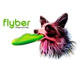 Flyber - repülő csészealj