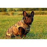 Vízlepergetős esőkabátok 30cm háthosszra