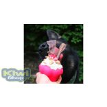 SodaPup® Muffin - méreganyagmentes kutyajáték