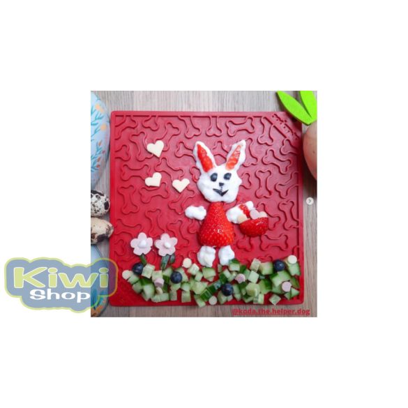 SodaPup® Emat Bones - Piros