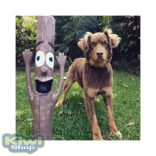 Doog Stick Family Toys - Barkley 23x2cm