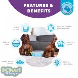 Paw N' Play interaktív csemegeadagoló kutyáknak