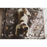 Kiwi Pet's Bulldogs lapfekhelyek