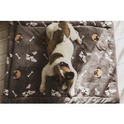 Kiwi Pet's Bulldogs lapfekhelyek