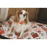 Kiwi Pet's Red Dogs párnák