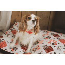 Kiwi Pet's Red Dogs párnák