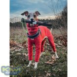 Doog Stick Family Toys - Twiggy 28x2,5cm