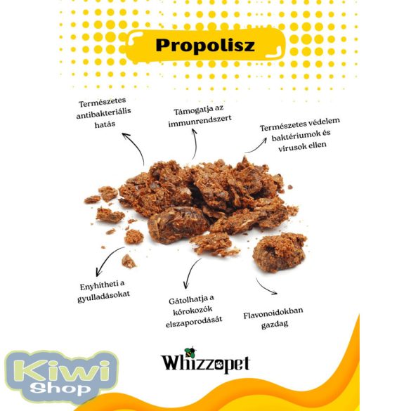 Whizzopet Bio Propoliszos ámorakác méz kutyának 250g
