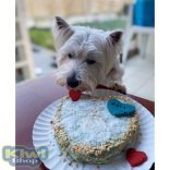 Cooka's Cake In A Bottle krill kutyatorta alappor üvegben