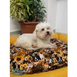 Kiwi Pet's winter dogs kutyafekhely 75x65cm