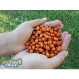 Homoktövis por immunerősítésre