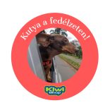 Kutya a fedélzeten autós matricák több féle 