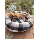 Kiwi Pet