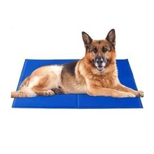 Hűsítő matrac nagytestű kutyáknak 120x100cm