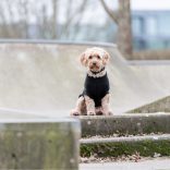 Trixie Kenton kötött pulcsi fekete