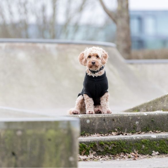 Trixie Kenton kötött pulcsi fekete