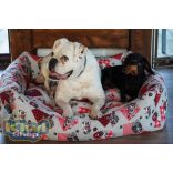 Kiwi Pet's Red dogs nagy méretű kutyafekhely 100x85cm