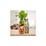SmoothieDog - Zöldség smoothie kutyáknak 250 ml